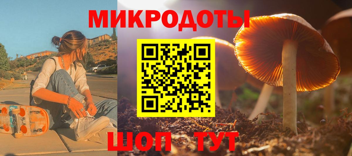 Псилоцибиновые грибы Psilocybe  Вход с VPN  Семёнов 